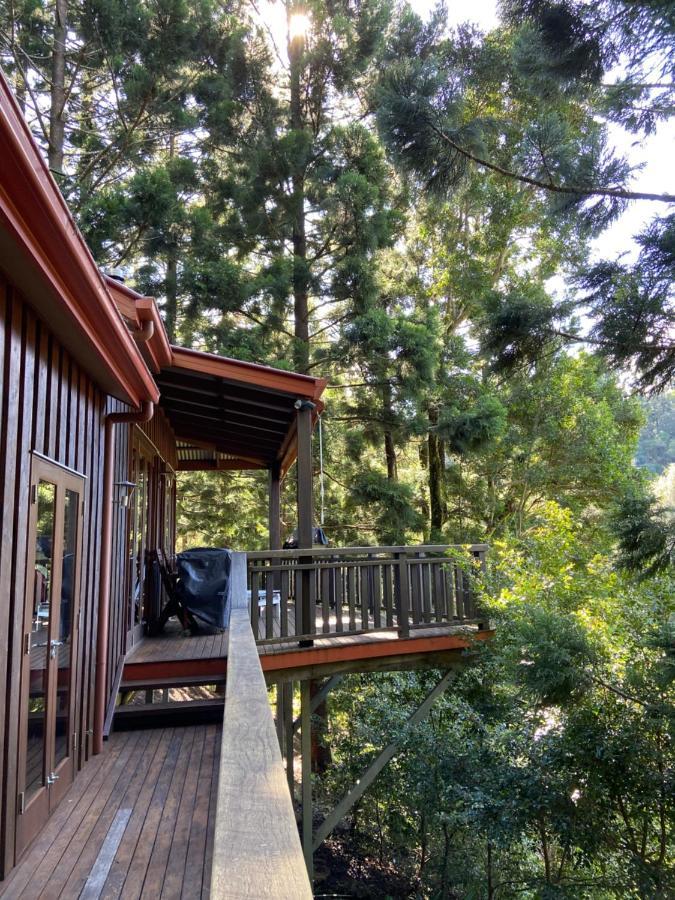 In The Woods, * Maleny