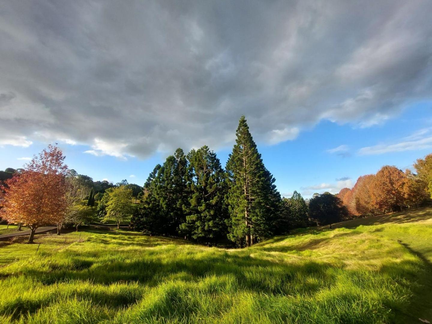 In The Woods, Holiday home