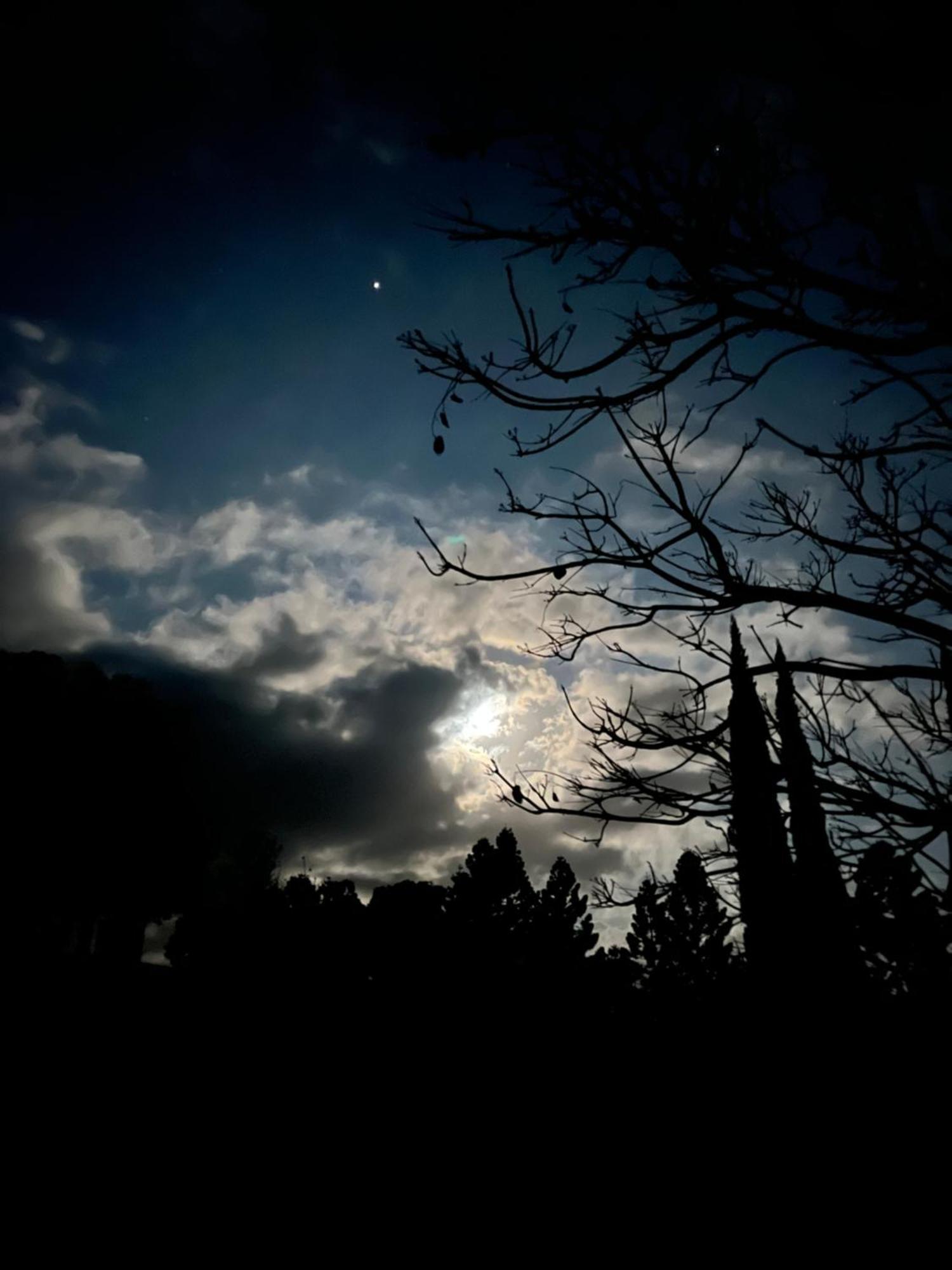 In The Woods, Holiday home *