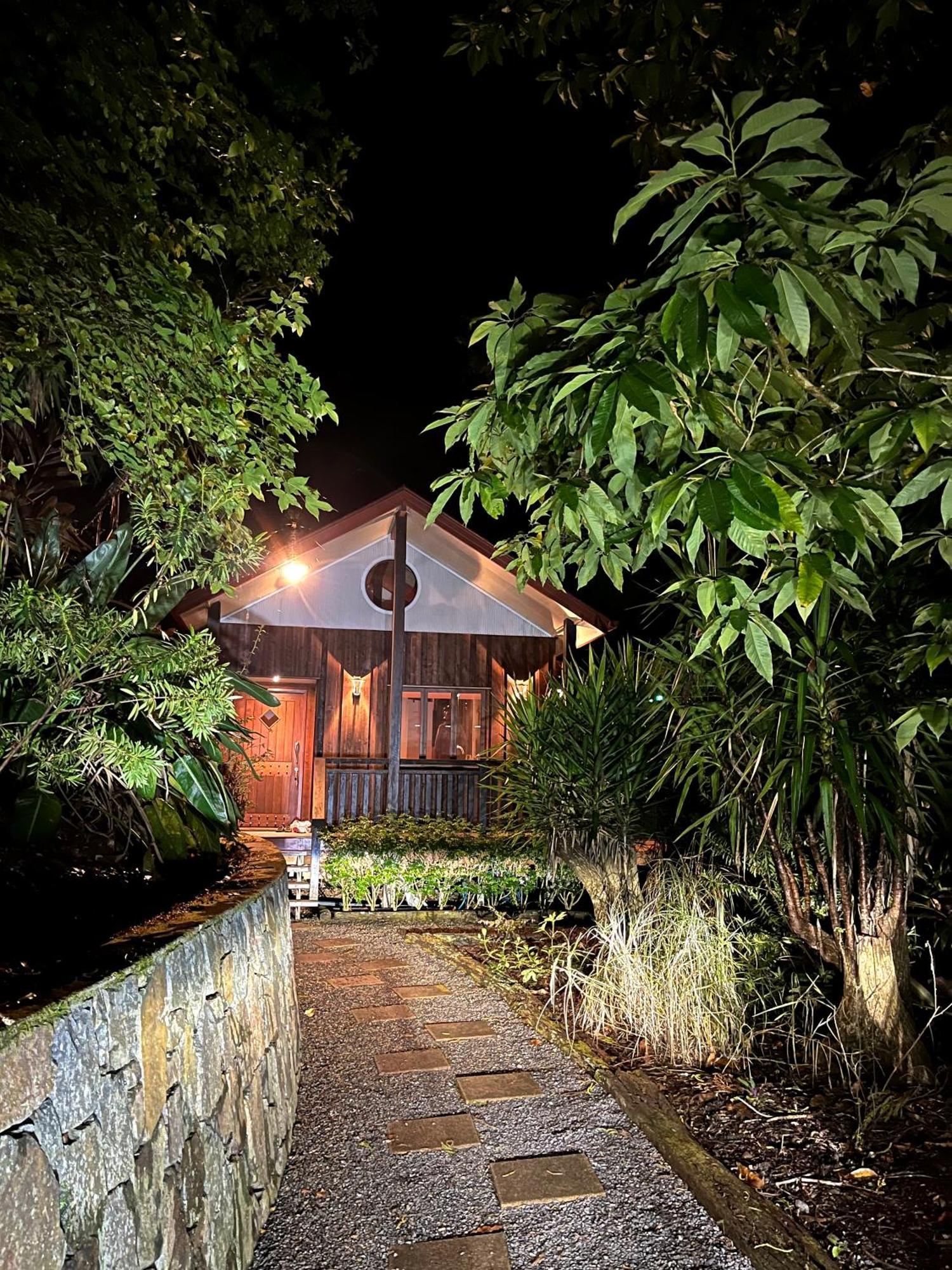 In The Woods, Maleny